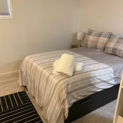 Pinecone Suite