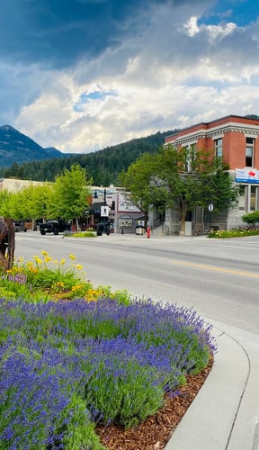 Rossland's Queen Street on a summer day, lavender in bloom in the foreground and a mountain behind the brick storefronts